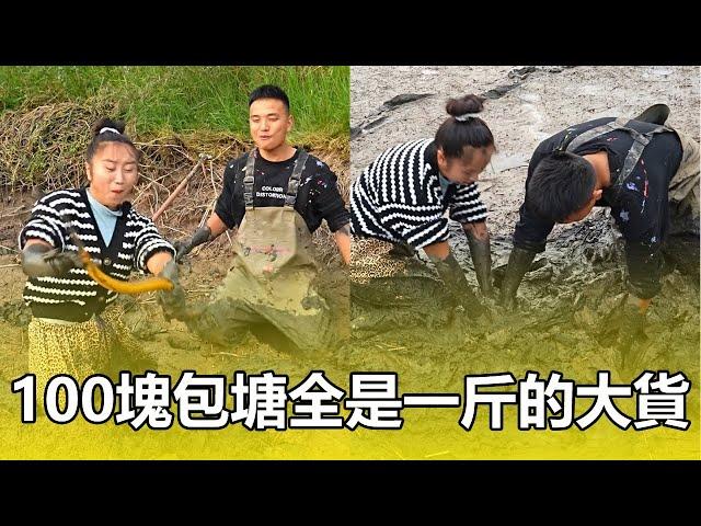 100塊包魚塘摳鱔魚，直接上大貨全是一斤多一條條的，這次撿大漏了【鄉村魚小妹】