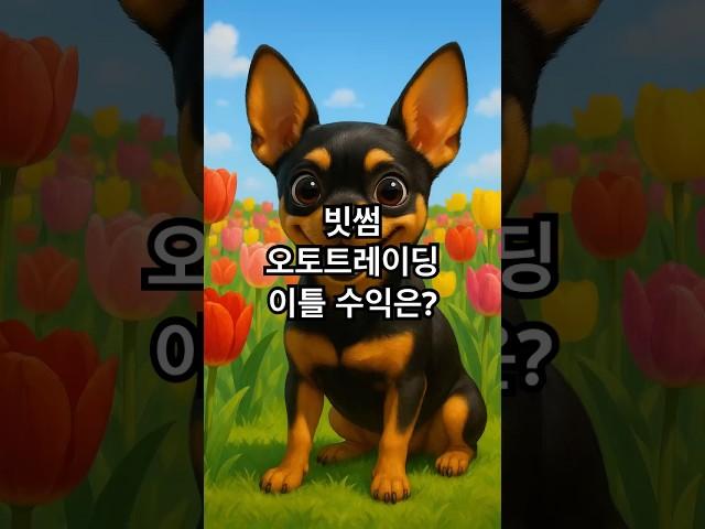 빗썸 오토트레이딩 이틀 수익은?