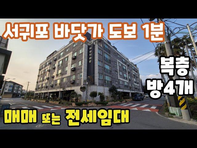 [복층 매매/전세] 바닷가 해안도로 도보1분, 남원초 도보2분거리, 서귀포 남원 디자인타운 방4개 복층구조 전세 또는 매매, 각종 편리한 생활권으로 실거주 추천 #제주도세컨하우스