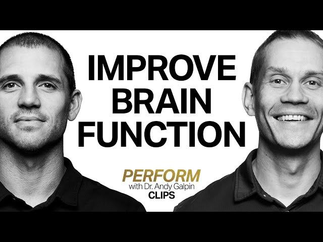 Protocols to Improve & Optimize Brain Function | Dr. Tommy Wood & Dr. Andy Galpin