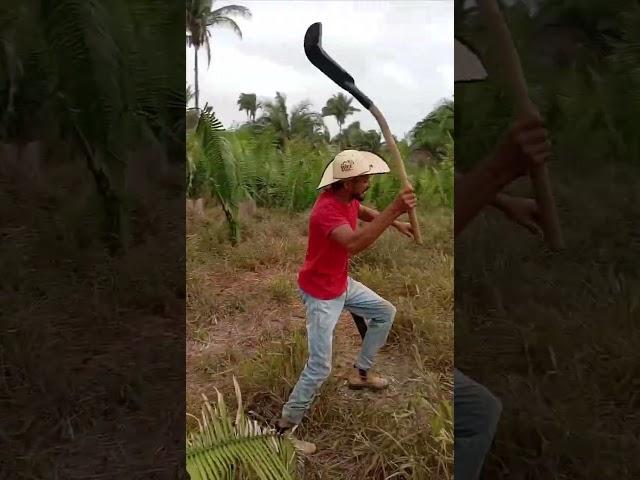 ROÇANDO JUNQUEIRA