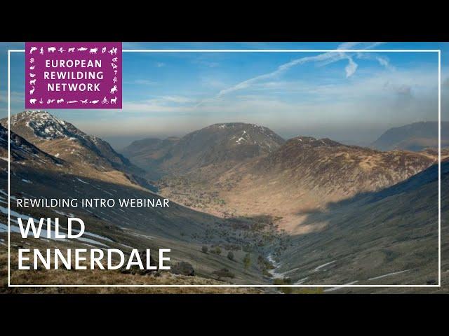 European Rewilding Network | Rewilding Intro | Wild Ennerdale