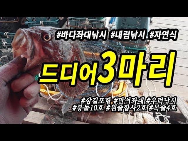 삼길포 만석좌대 자연식 우럭낚시 드디어 3짜 3마리