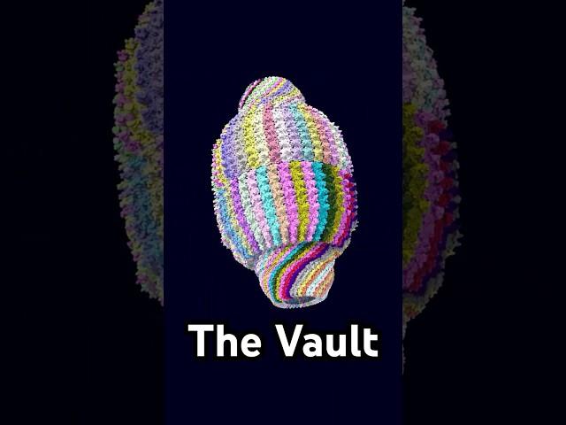 Scientists Discovered The Vault in 1986… We Still Don't Know What It Does