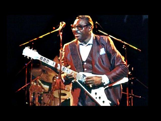 ALBERT KING - Full Concert (Live in Switzerland, 1984)