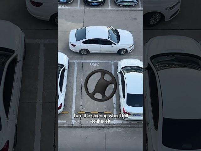 My followers must know how to reverse into a parking space! #car #carsafety #driving #tips