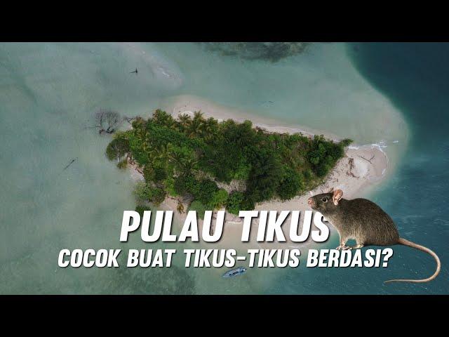 PULAU TIKUS PULAU TERKECIL DI MALUKU