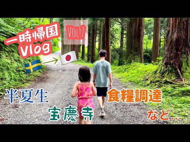 一時帰国中の時間を持て余す日常/スウェーデン北部在住の一時帰国Vlog7