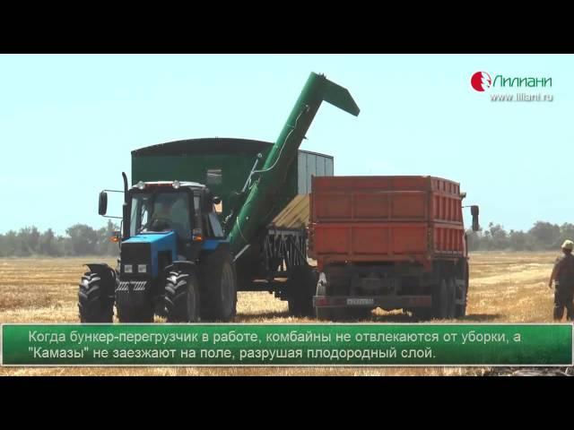 уборка с применением бункера-перегрузчика Лилиани (Краснодарский край)