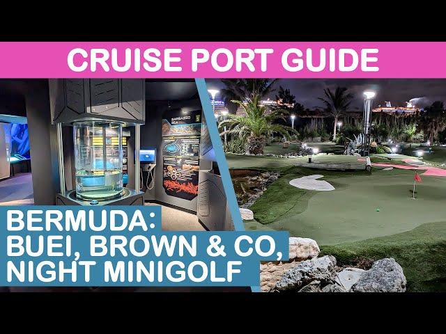 2024 Bermuda Cruise Port Guide: BUEI, Brown & Co., & Night Minigolf