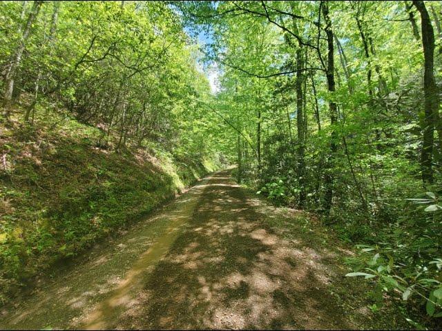 Land for Sale North Carolina:: 5.10 Peaceful Acres, 15-mins to Bryson City, 40-mins to Fontana Lake!