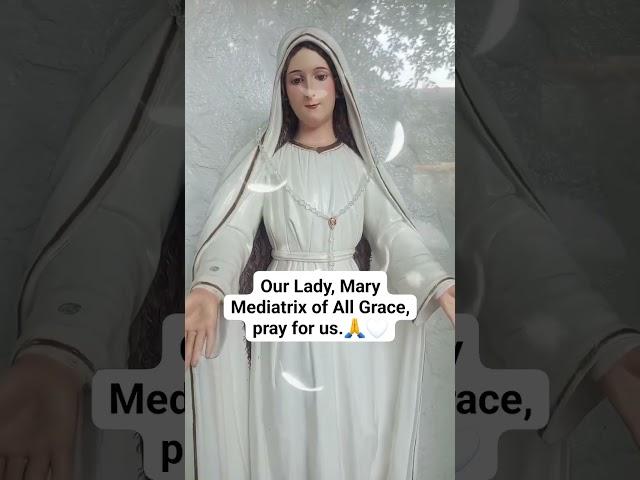 Our Lady, Mary Mediatrix of All Grace, pray for us.