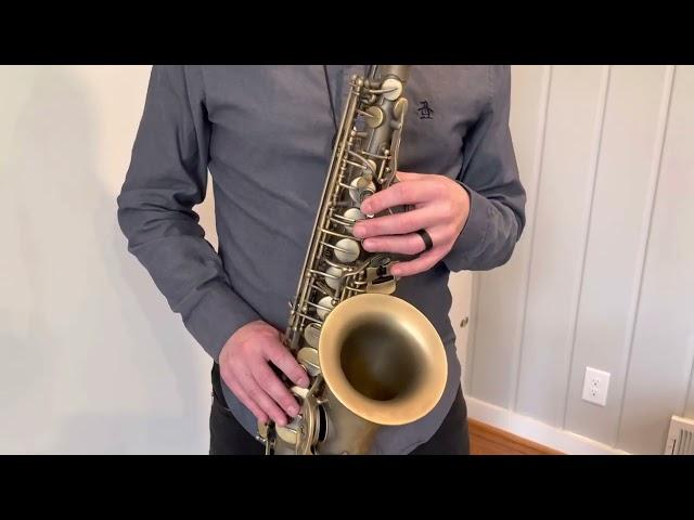 P Mauriat PMXA-67R Alto Saxophone Demo, www.dcsax.com