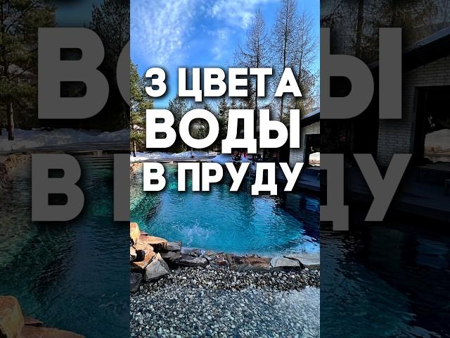 От чего зависит цвет воды в пруду?