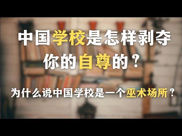 中国学校是怎样剥夺你的自尊的？为什么说中国学校是一个巫术场所？一集看穿中国社会符号系统的虚假性｜普通学｜内卷｜心理学｜教育｜社会学｜哲学｜布尔迪厄｜