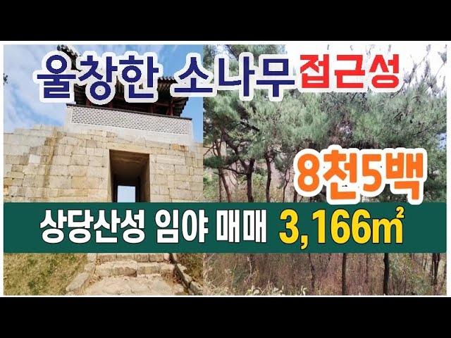 청주 상당산성 임야 매매 울창한 소나무와 접근성 좋은 산 매매 작은 투자로 나만은 힐링장소