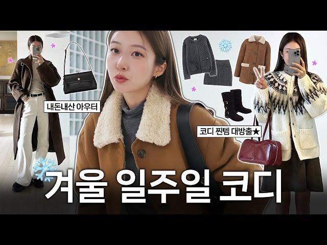 지금 입기 딱 좋은 겨울 일주일 OOTD 코디 ️ 따뜻하고 예쁜 찐 데일리룩 (+뉴 아우터 패션하울)