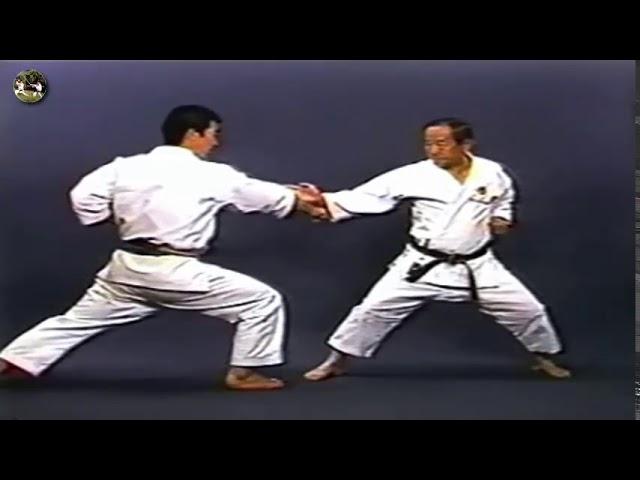 SHOTOKAN karate - The Nakayama - Tekki Nidan Kata and Bunkai (Каратэ Шотокан Накаямы)