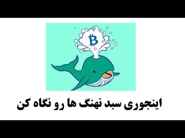 اینجوری سبد نهنگ های کریپتو رو ببین