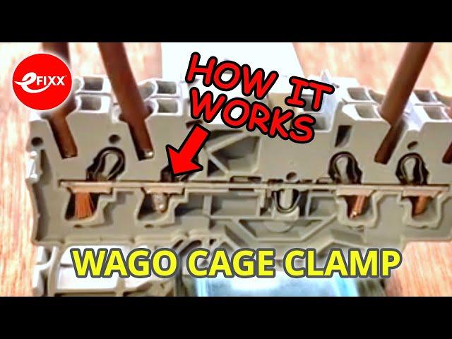 How does a WAGO connector cage clamp work? #shorts