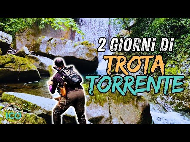 È SUCCESSO DI TUTTO!   BAITFINESSE alla TROTA FARIO nei TORRENTI CASENTINESI con SUPER MIKE! (4K)