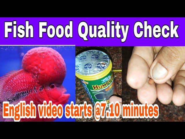 How to check fish food quality?