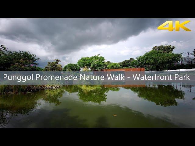 Punggol Promenade Nature Walk - Punggol Point Park - The Jetty [Singapore] 4K