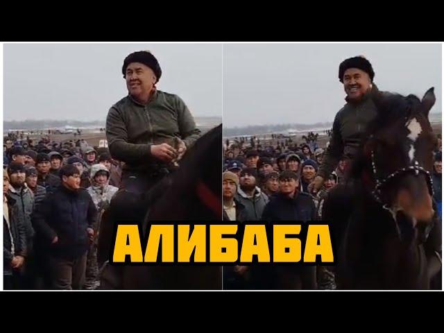 Асылбек акебиздин Алибаба деген күлүк атында Алтынбек Сулайманов чыгарды ️