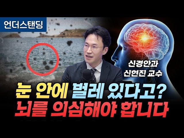 눈 앞에 벌레 보이는 비문증, 뇌의 문제일 수 있습니다 (건국대 신경안과 신현진 교수)