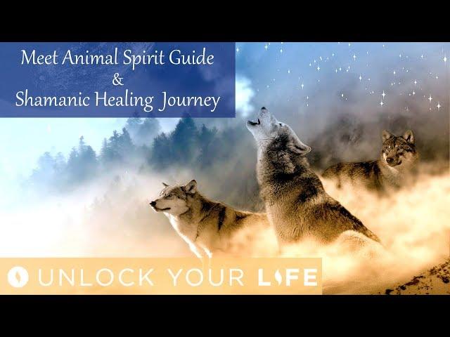 Meet Your Animal Spirit Guide Hypnosis and Shamanic Healing Journey for Positive Energy (Meditation)