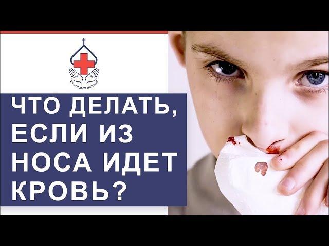  Носовые кровотечения: причины, первая помощь, лечение. Носовые кровотечения причины. 12+