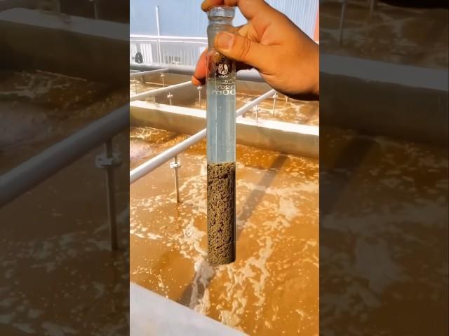 Sewage treatment plant in China