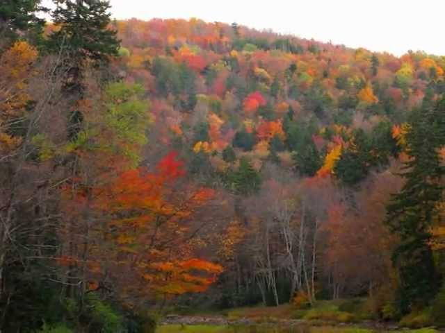 Andrea Bocelli ~ Les Feuilles Mortes (The Autumn Leaves)