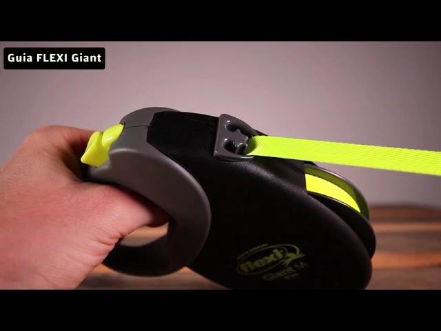 Guia Flexi Giant