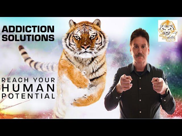 Tiger Resilience Addiction Solutions for Reaching Human Potential
