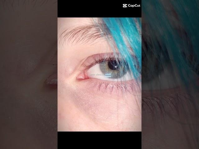 @W1ng3d._Bugz