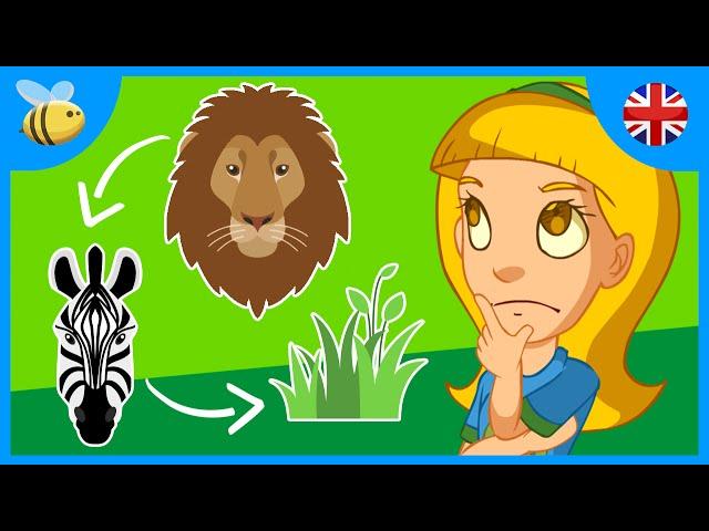 What is the Food Chain? | Kids Videos