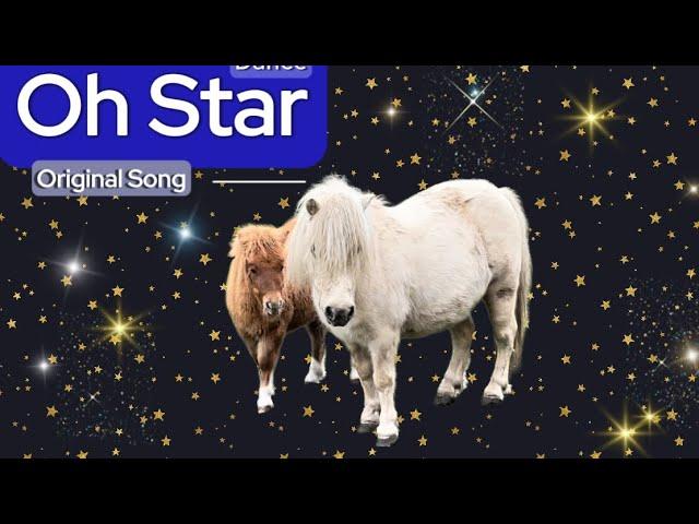 Stunning Song! Cute Shetland Foal is a Star that’ll light up your day! ️