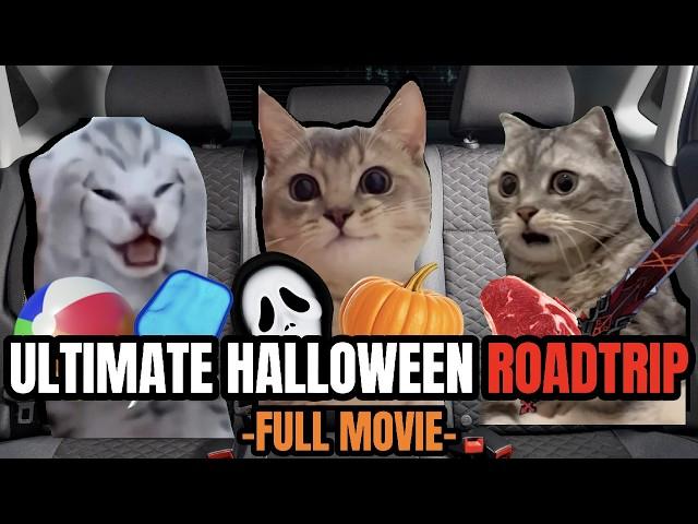 Cat MEMES: ULTIMATE HALLOWEEN ROADTRIP - FULL MOVIE