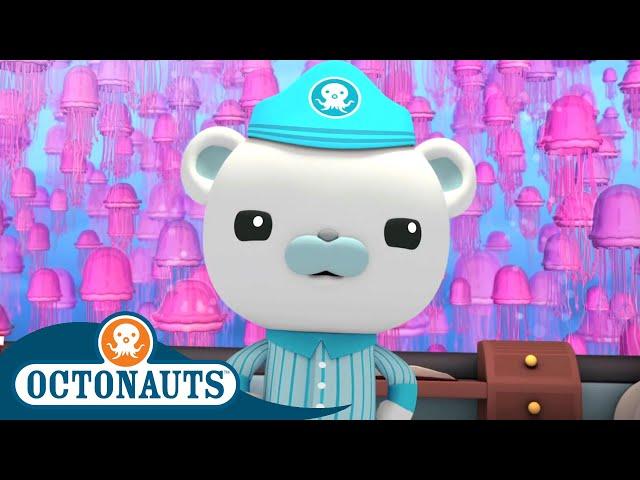 Octonauts - Jellyfish Adventure | Cartoons for Kids | Underwater Sea Education