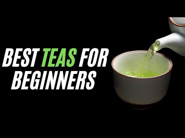 Best tea for beginners Selected by tea Experts - Cheap teas, easy to prepare teas and flavorful teas