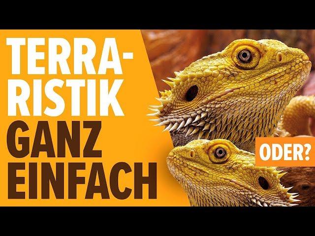 Terraristik ganz einfach, oder? | NORBERT ZAJAC | Zoo Zajac, Duisburg