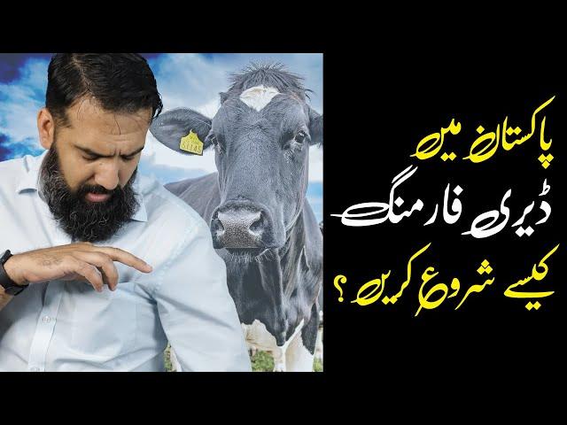 How to Start Dairy Farming Business in Pakistan, PROFIT & LOSS | Azad Chaiwala