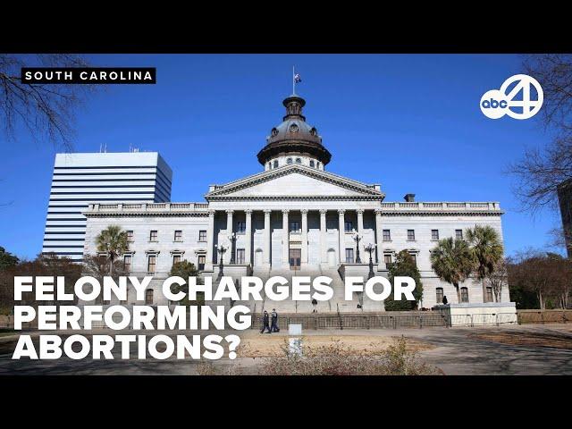 South Carolina Republicans push total abortion ban, sparking statewide debate