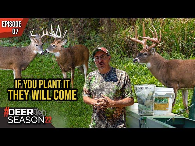 The Four MOST IMPORTANT Steps To Growing The Perfect Green Plot With Mark Drury | Deer Season '22