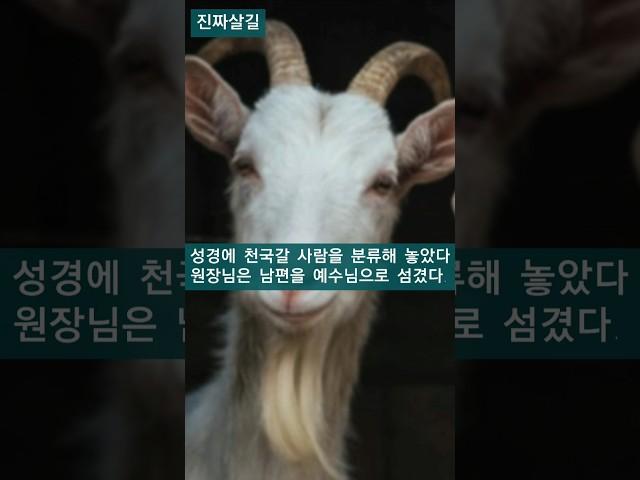 너는 천국, 너는 지옥갈 자로 분리한 조건은?