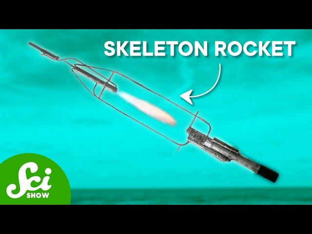 Meet Nell: The Skeleton Rocket That Flew