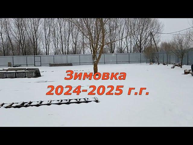 Зимовка 2024-2025 г.г.(10.01.2025)