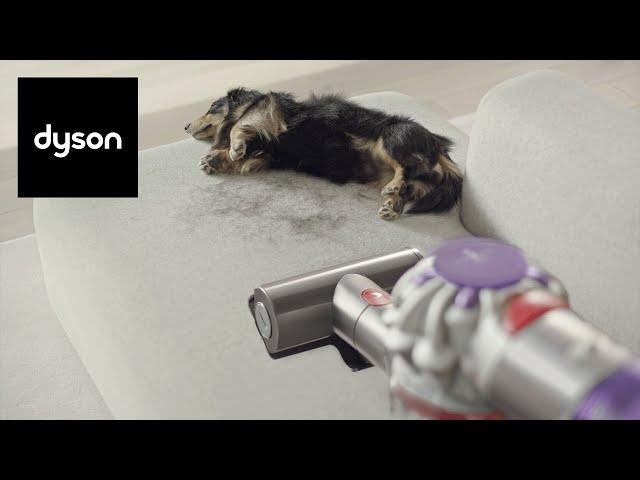 The new Dyson V8™ cordless vacuum. Powerful and low noise.