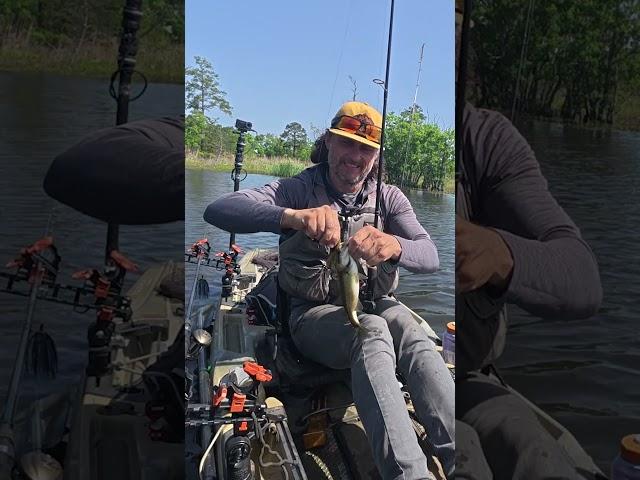 The BEST Pond Bass Bait. #bassfishing #kayakfishingtips #fishing #outdoors #basspro